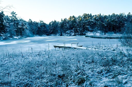Free Winter Snow photo and picture