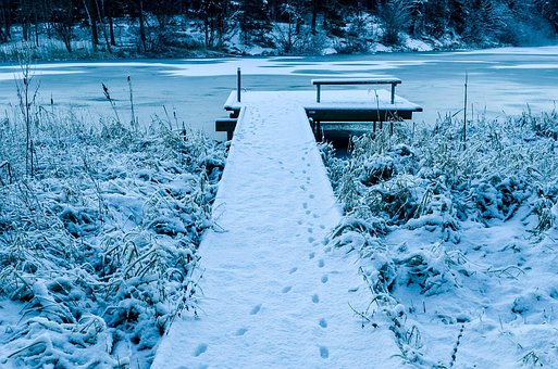 Free Winter Snow photo and picture