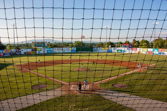 Free Baseball Game photo and picture