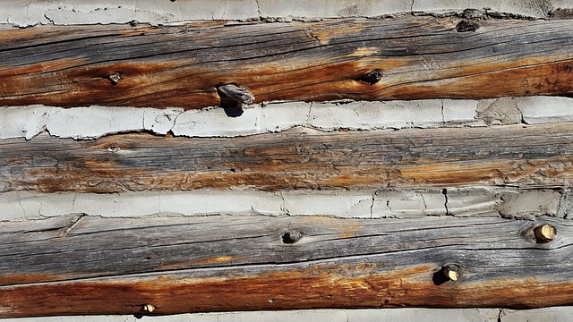 Free Logs Log Cabin photo and picture