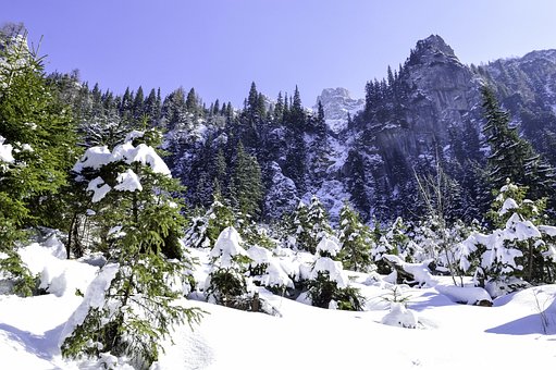 Free Cold December photo and picture
