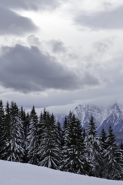 Free Cold December photo and picture