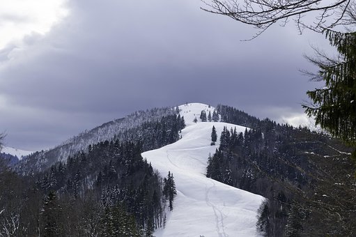Free Cold December photo and picture