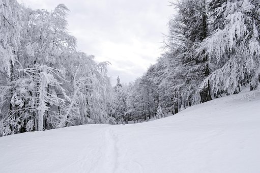 Free Cold December photo and picture