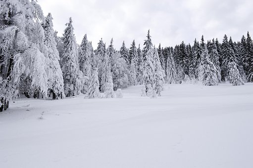 Free Cold December photo and picture