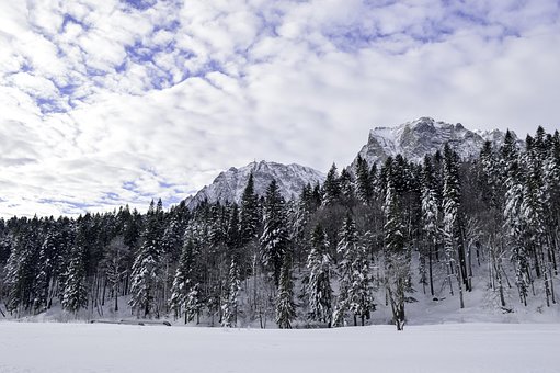 Free Cold December photo and picture