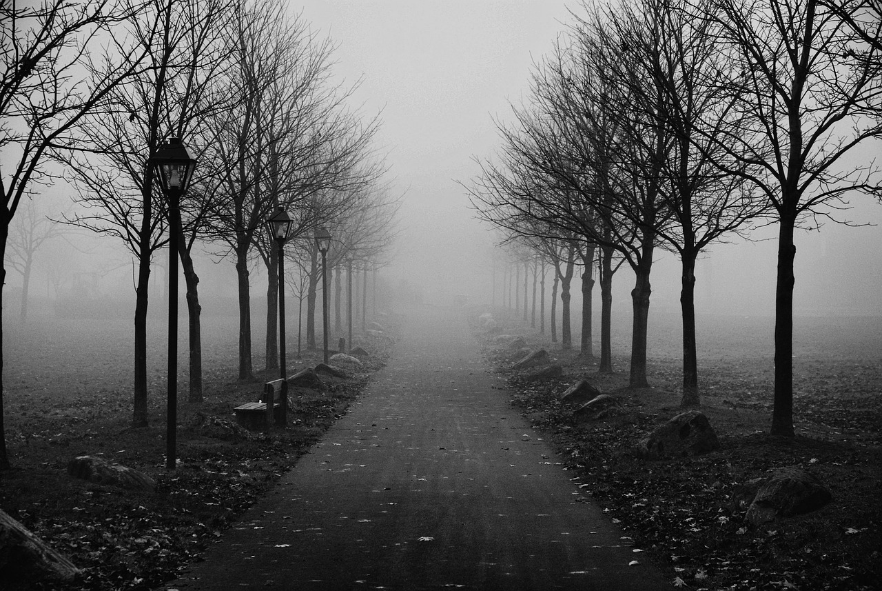 有雾的人行道 早晨 多雾路段 - Pixabay上的免费照片 - Pixabay