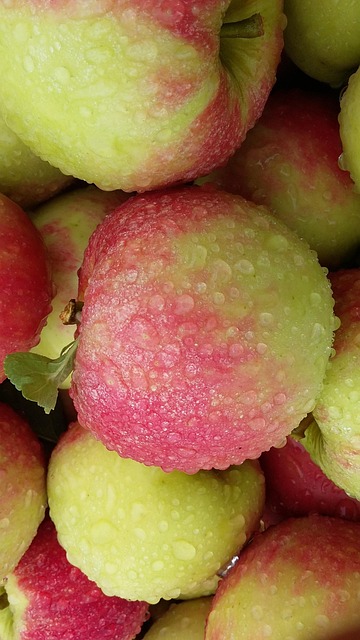 Free Apple Elstar Apple photo and picture