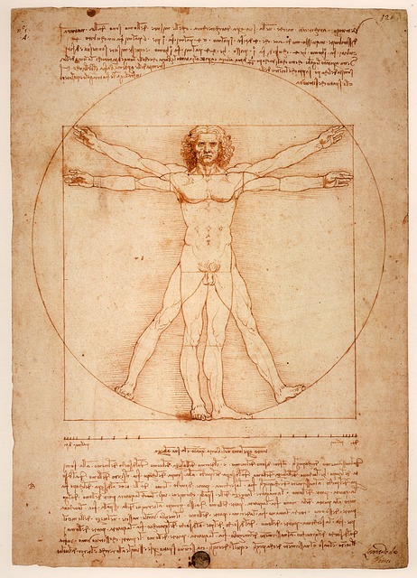 Leonardo Da Vinci Vitruvian Man Free Image On Pixabay