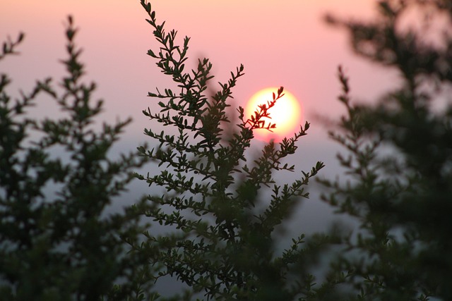 Free Sunset Sun photo and picture