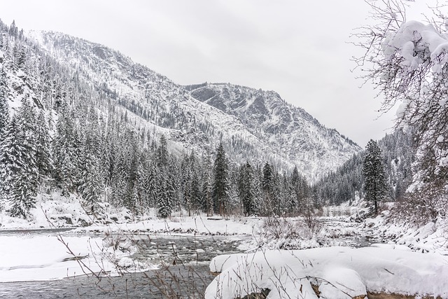 Invierno, Naturaleza, Árbol, Río, Nieve