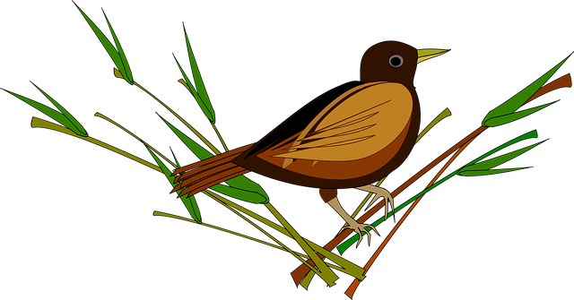 Spatz, Vogel, Natur, Tier