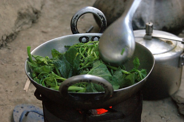 Kochen, Nepal, Chitwan, Nationalpark