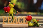 harmony, frogs, social