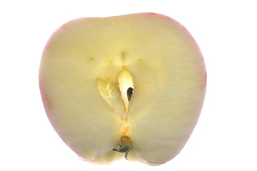 Free Apple Macro photo and picture