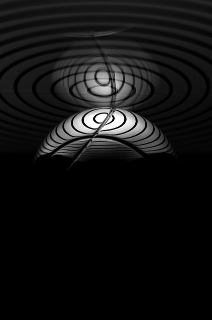 Free Bullet Black photo and picture