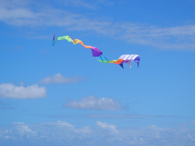 Free Kite Blue Sky photo and picture