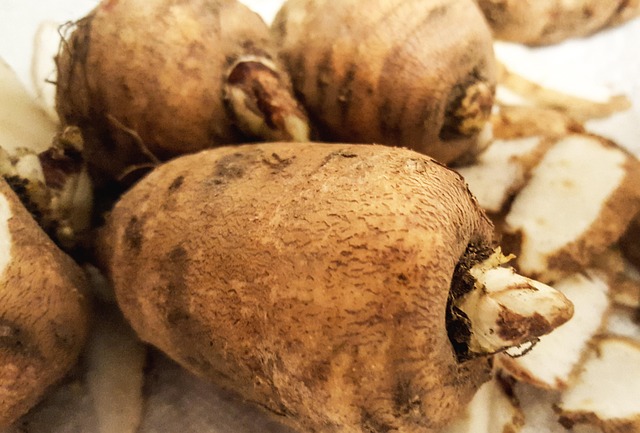 Free Chervil Bulb Vegetables photo and picture