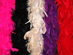 stoles, carnival stoles, feather shawl