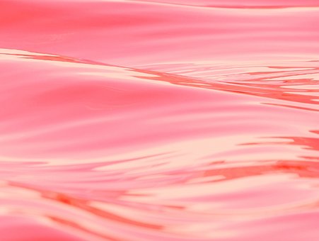 Free Pink Water photo and picture
