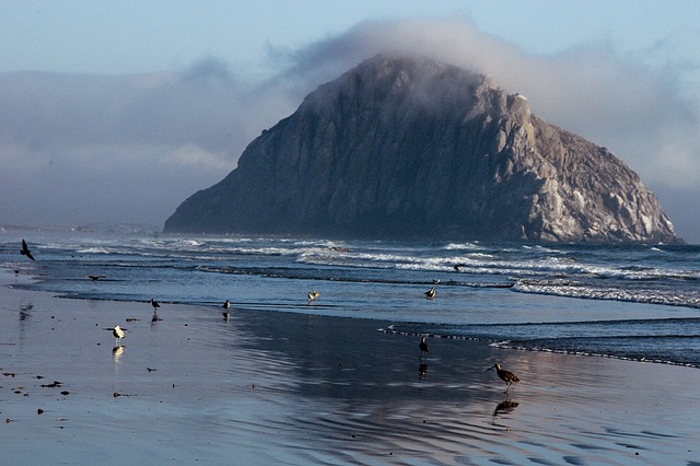 Free California Nature Reserve photo and picture