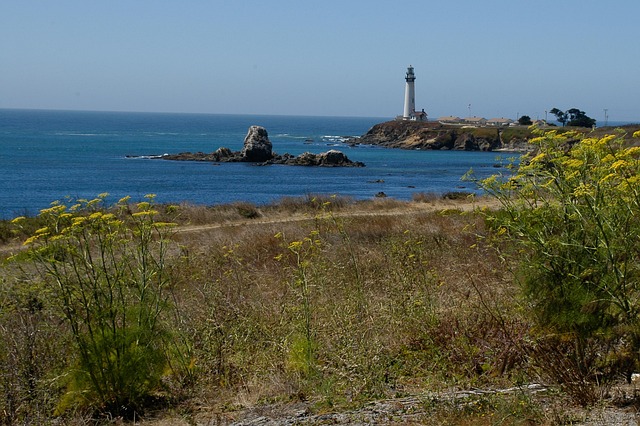 Free Lighthouse America photo and picture