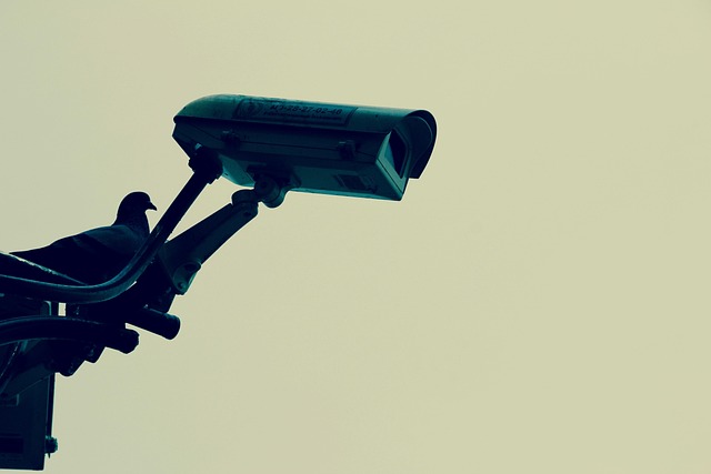 Free Camera Monitoring photo and picture