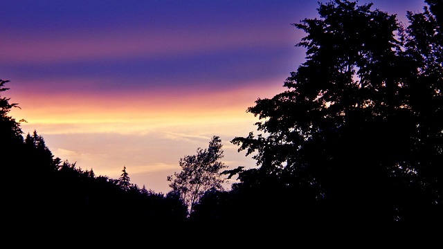 Free Sky Sunset photo and picture