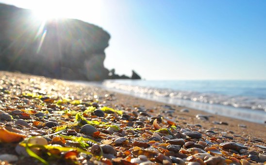 Free Beach Sea photo and picture