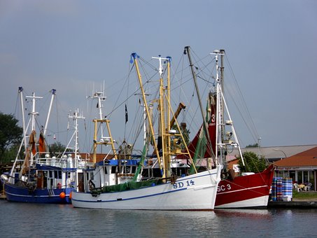 Free Ships Port photo and picture