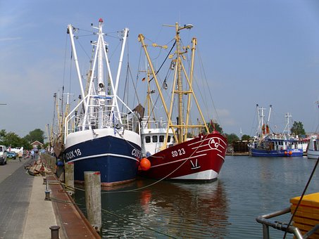Free Ships Port photo and picture