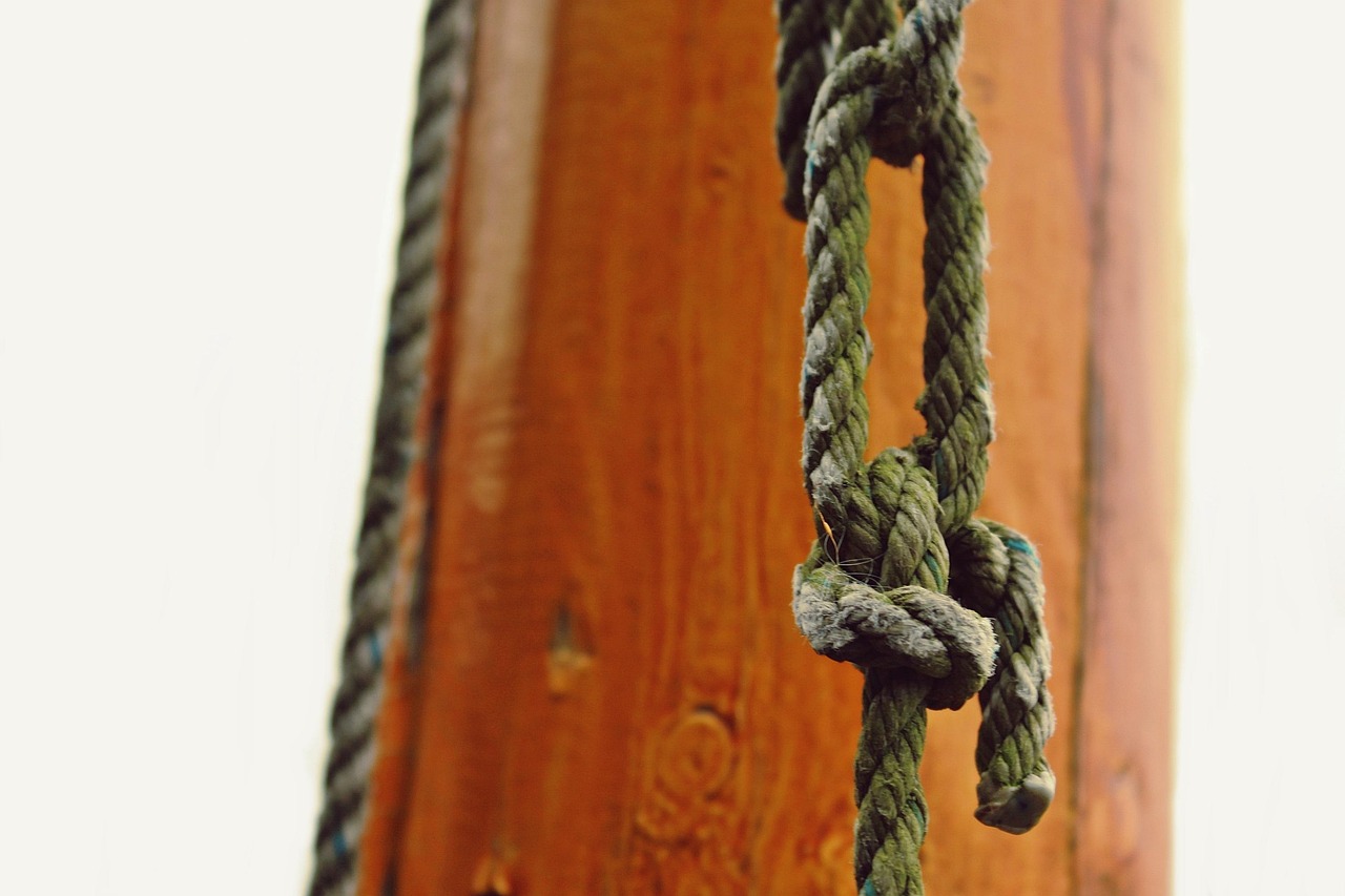 Mildewed Rope Rope Dew Twisted - Free photo on Pixabay - Pixabay