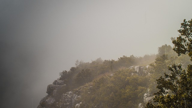 Free Mountain Mist photo and picture