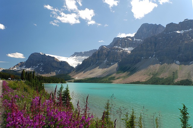Free Canada Highway 1 photo and picture