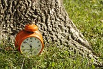 clock, grass, orange