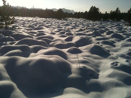 Free Snow Cross-Country Skiing photo and picture