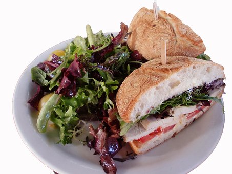 Free Branch Sandwich photo and picture