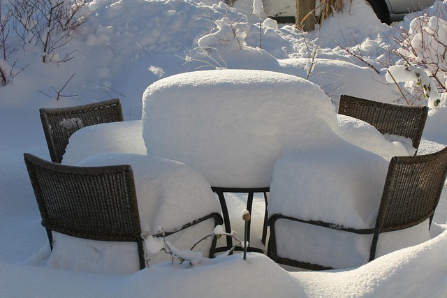 Free Winter Snow photo and picture