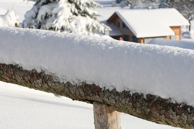 Free Snow Winter photo and picture