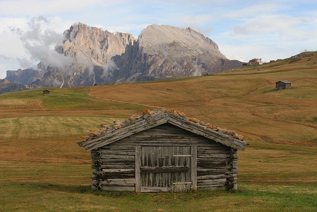 Free Alps Seiser Alm photo and picture