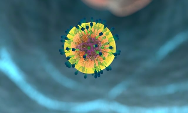 Free corona immune system blood cells illustration