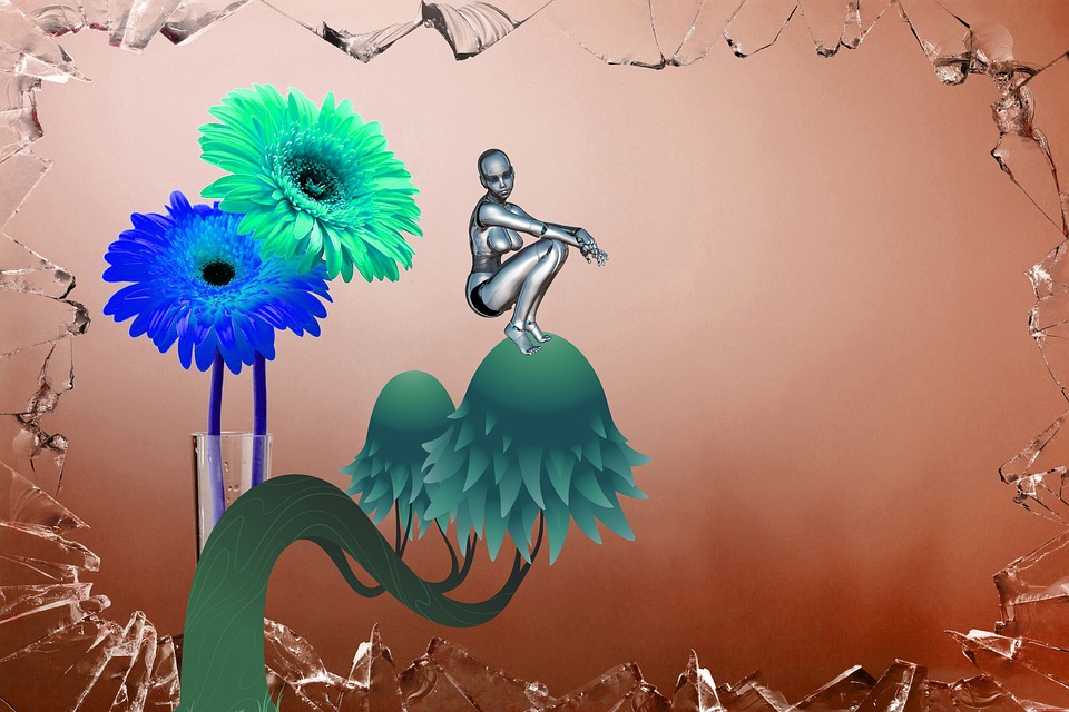 Blomma Kort Svamp - Gratis bilder på Pixabay