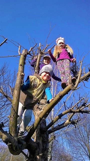 Free Climbing Children photo and picture