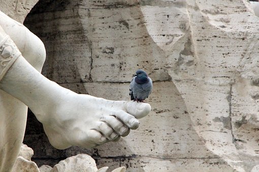 Free Dove Statue photo and picture