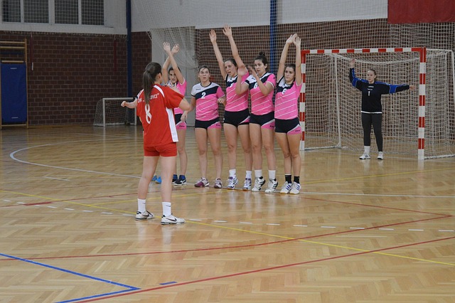Free Handball Sport photo and picture