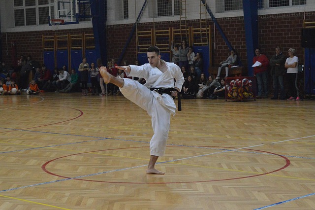 Free Sport Karate photo and picture