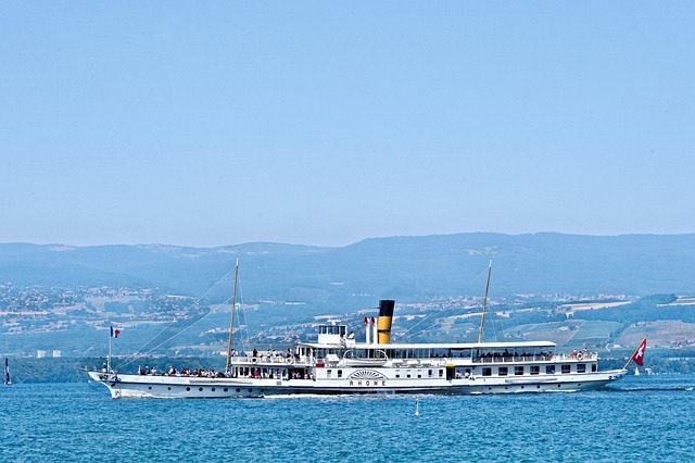 Free Rhone Paddle Steamer photo and picture