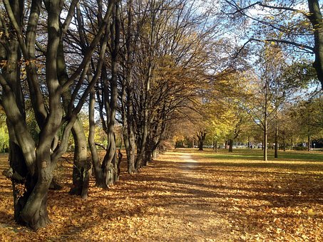 Free Fall Park photo and picture