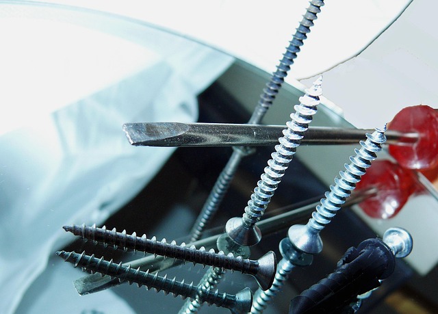 Free Screws Screwdriver photo and picture