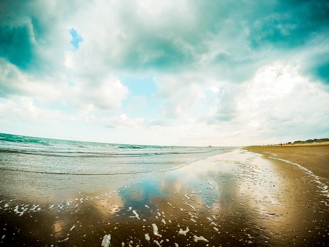 Free Summer Sea photo and picture